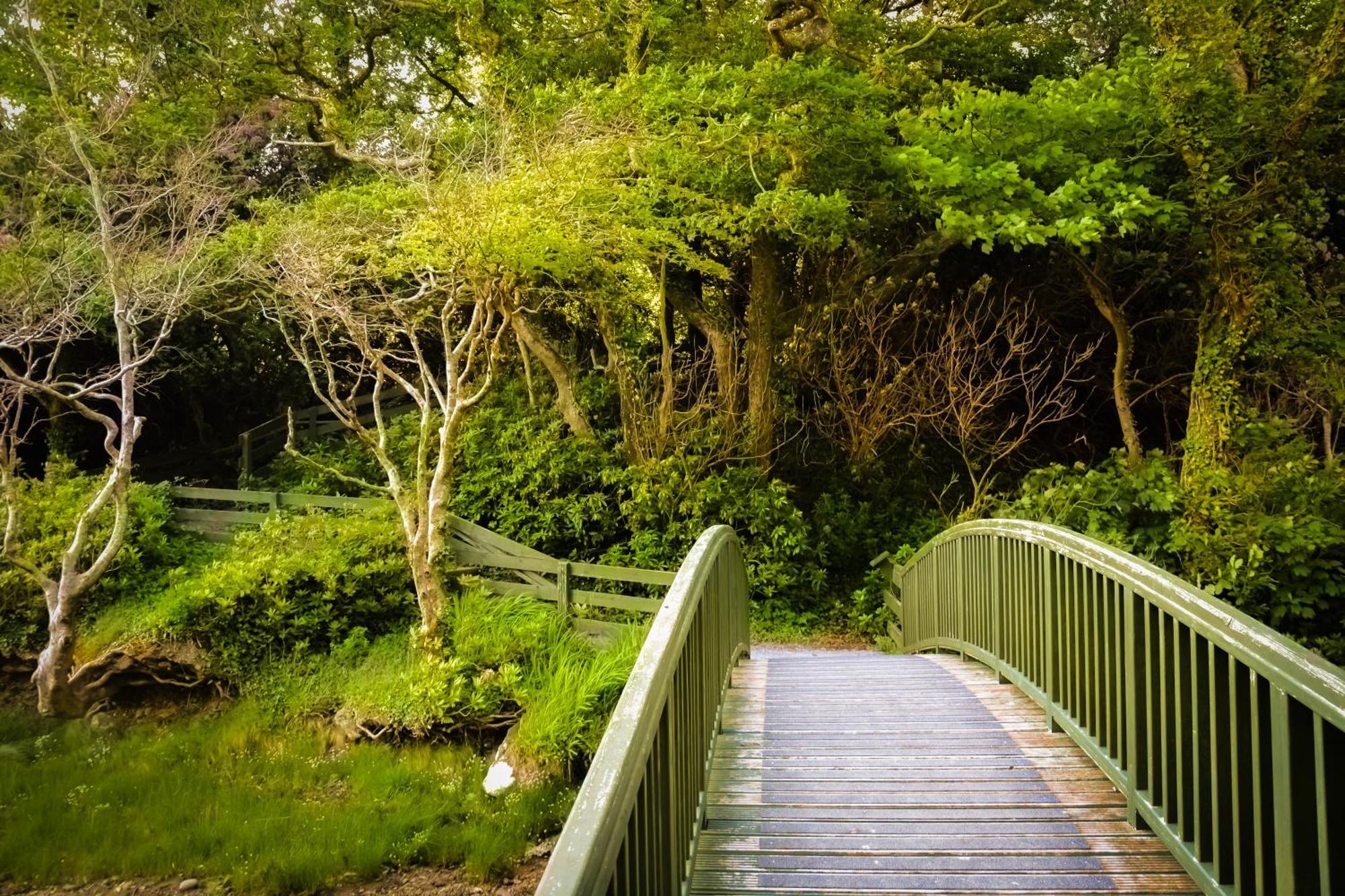 Parknasilla Resort & Spa Sneem Exterior foto